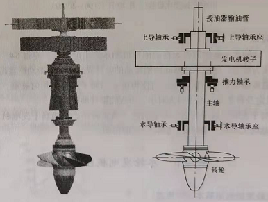 水輪發(fā)電機(jī)組結(jié)構(gòu)特點(diǎn)